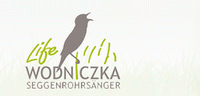 wodniczka-bird-w-aquatic