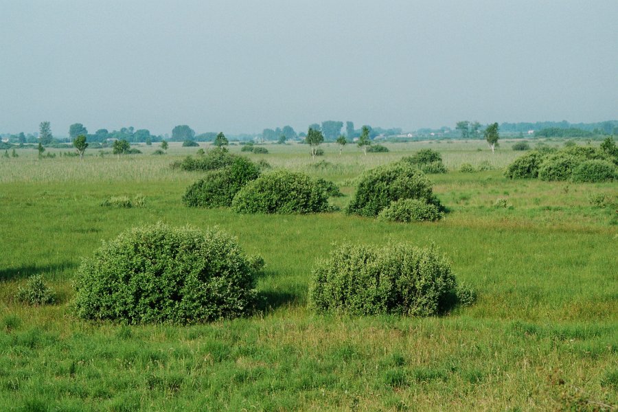 Bagno Bubnow fot. Grzegorz Grzywaczewski