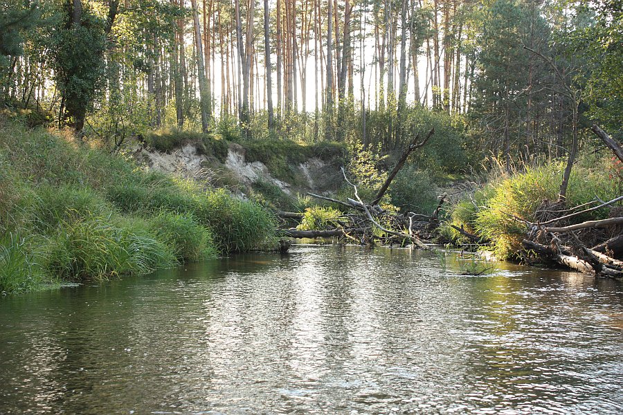Dolina Czarnej fot. Zbigniew Fijewski