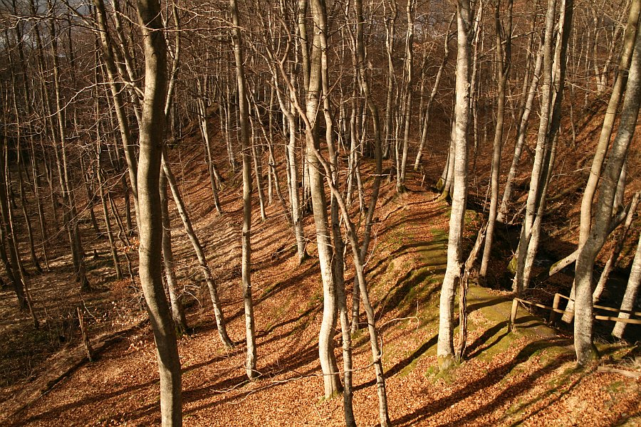 Dolina Slupi fot. Malgorzata i Urban Baginscy