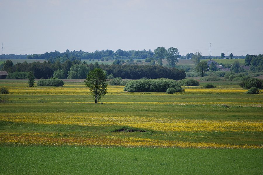 Dolina Tysmienicy fot. Jaszcz Zbigniew