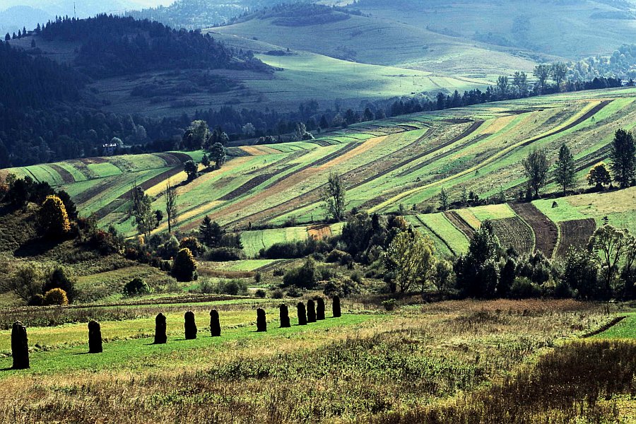 Pieniny  fot. Boguslaw Kozik
