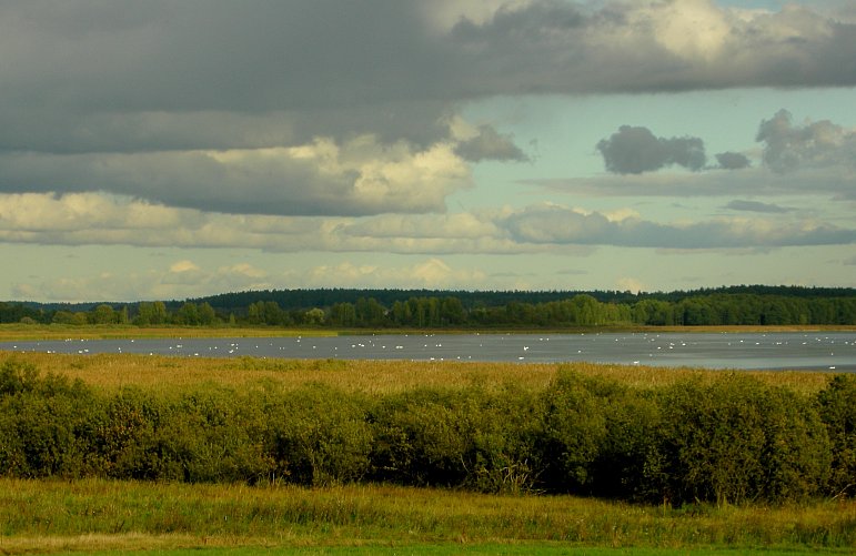 Zbiornik Siemianowka fot. Grygoruk Grzegorz