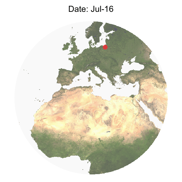 Migration of Aquatic Warblers from Lithuania and northern Belarus. Red bubbles - Aquatic Warblers from Lithuania (Alka polder, Šilutė dstr. and Kliošiai landscape reserve, Klaipėda dstr.), yellow bubbles - Aquatic Warblers from northern Belarus, Servech mire.