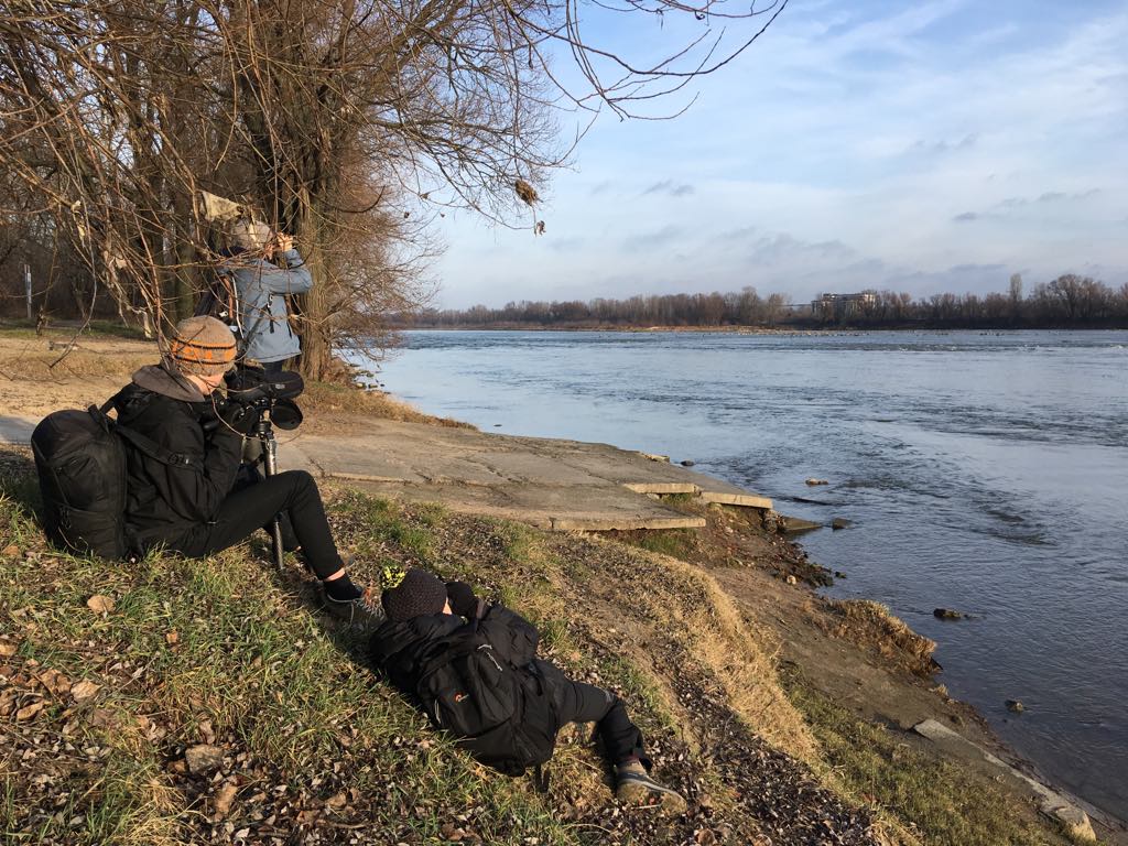 3 osoby obserwują ptaki przez lornetki i lunety. Stoją na brzegu rzeki i spoglądają w prawo, na rzekę.