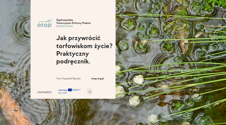 obrazek informuje o wydaniu podręcznika na temat ponownego nawadniania osuszonych torfowisk