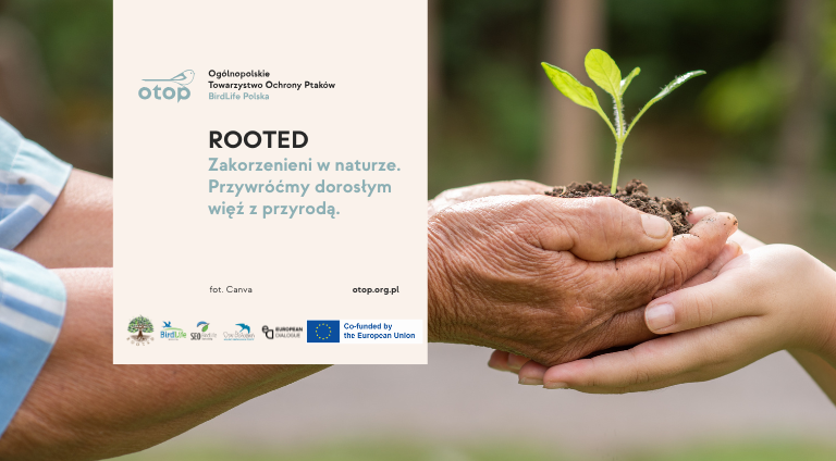 ROOTED - obrazek wyróżniający