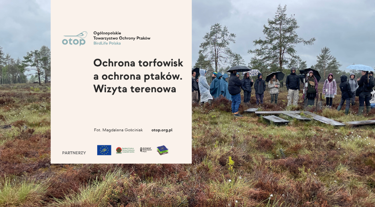 Fotografia przedstawia grupę osób stojących na zdegradowanym, poddawanym renaturyzacji torfowisku. Została wykonana podczas wizyty terenowej na Torfowiskach Orawsko-Nowotarskich