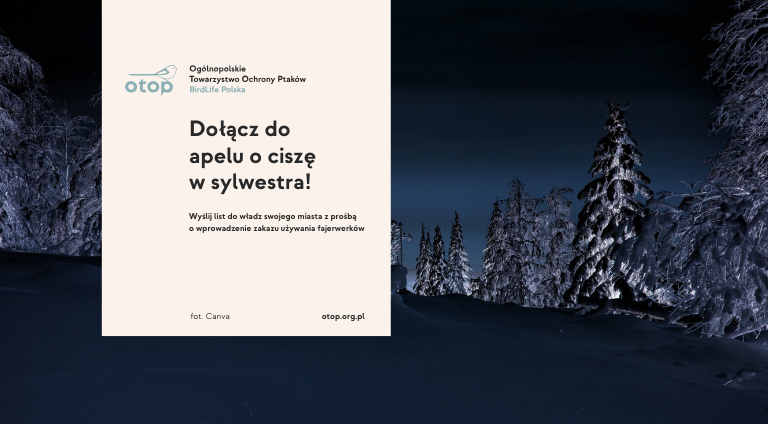 W tle zimowy nocny las. Po lewej stronie prostokąt z napisem: Dołącz do apelu o ciszę w sylwestra!