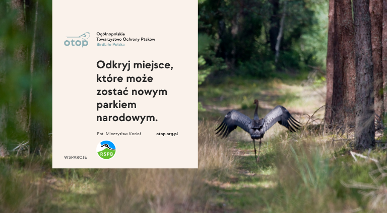 Sobiborski Park Narodowy