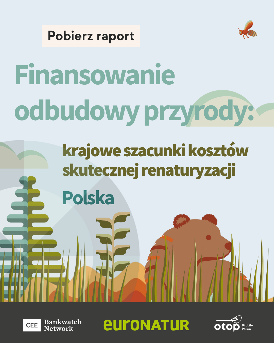 Nature Restoration Regulation report