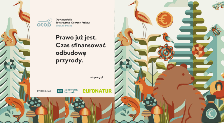 Grafika promująca raport o finansowaniu odbudowy przyrody w Polsce