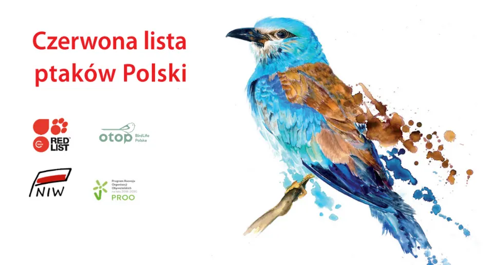 Czerwona Lista Ptaków Polski